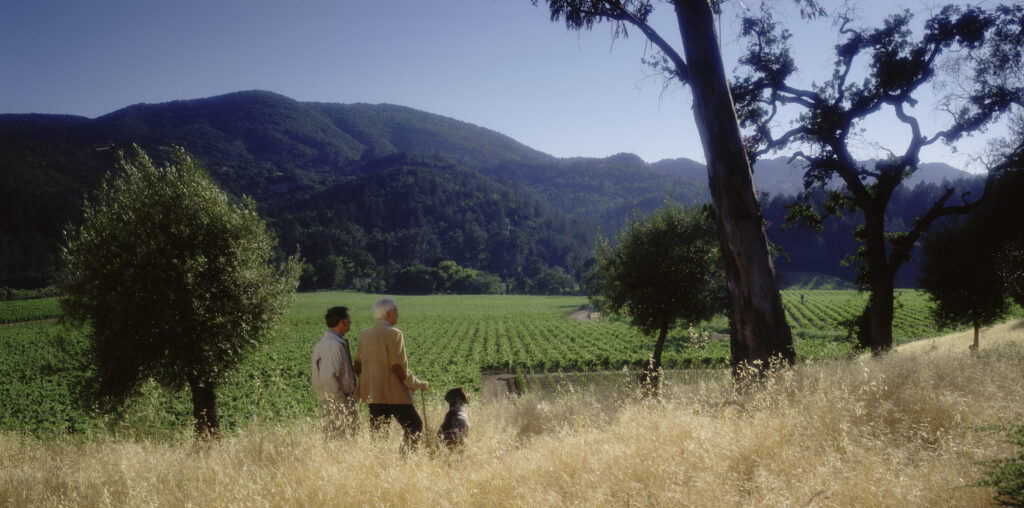 father and son with dog overlooking Vineyard and Napa Hills behind