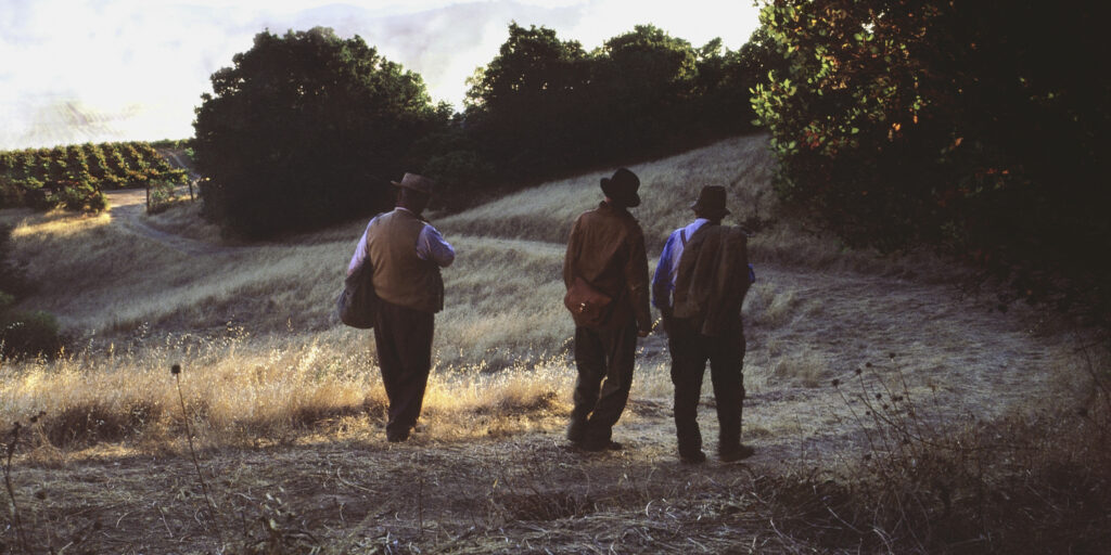 three men at sunrise walking down valley toward foggy vineyard