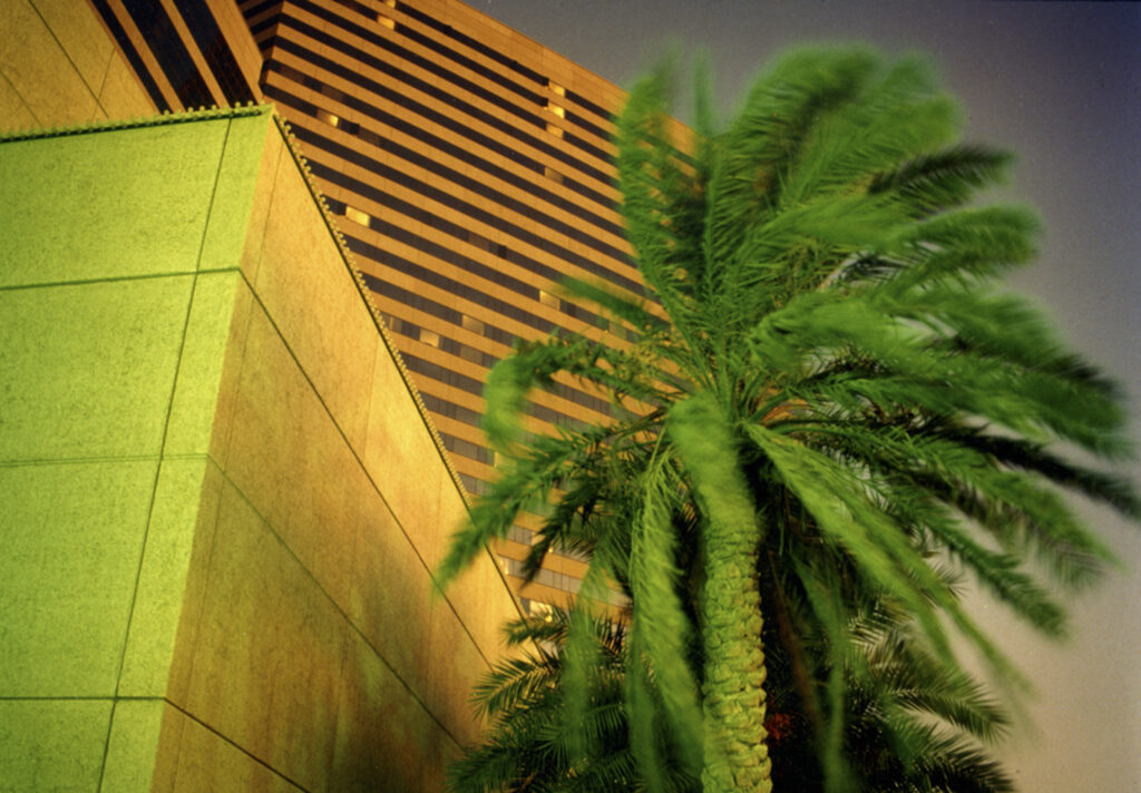 palm tree moving so blurred, with skyscrapers in background at dusk