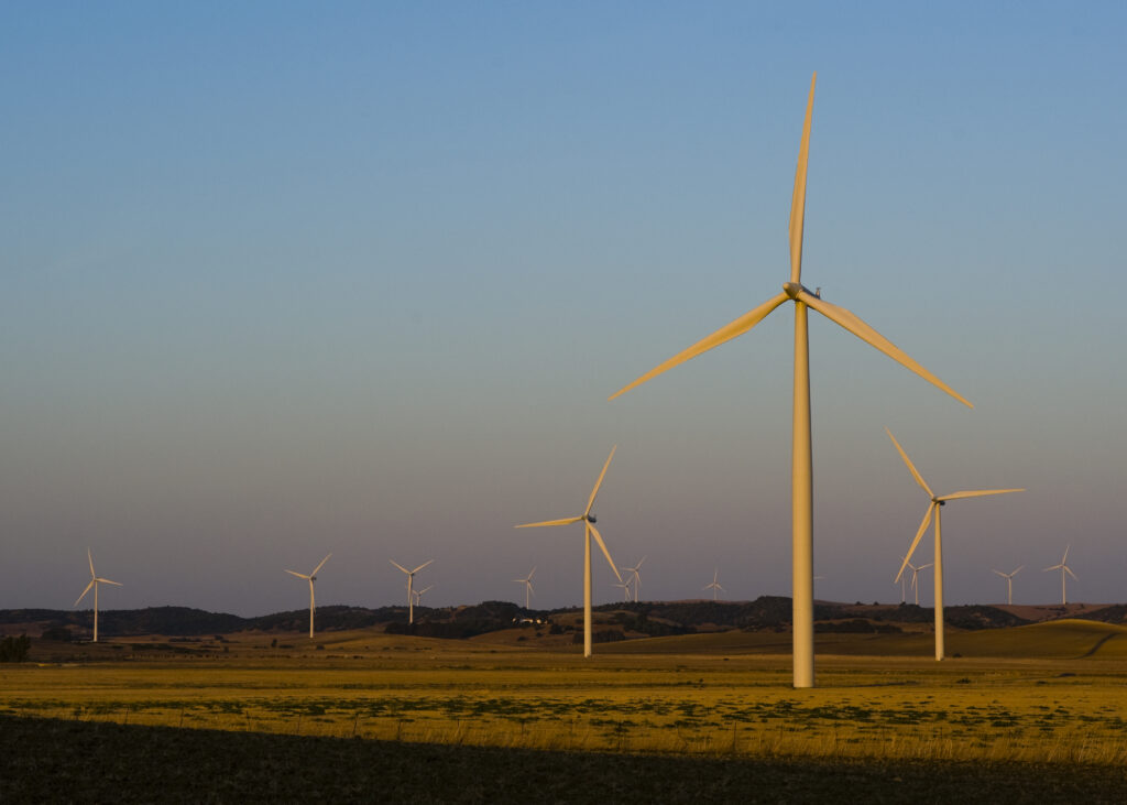 15 wind turbines in late sun in landscape of dry land