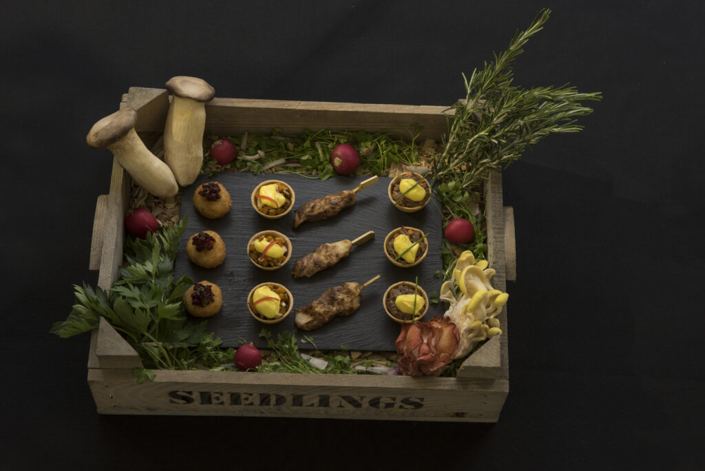 Finger food in 'seed' tray with decorative mushrooms and herbs