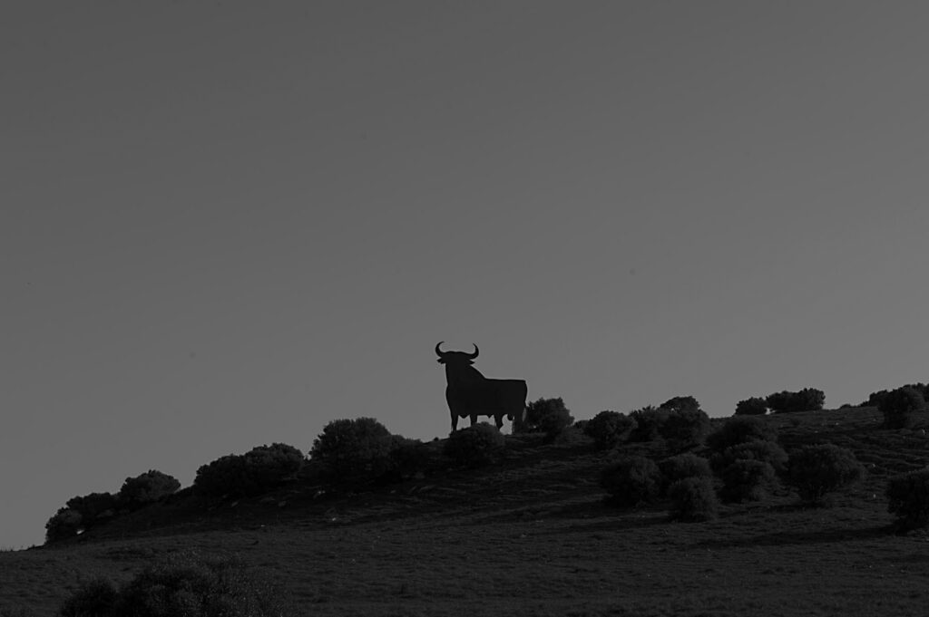 hillside in silloutee with billboard of Spainish Bull