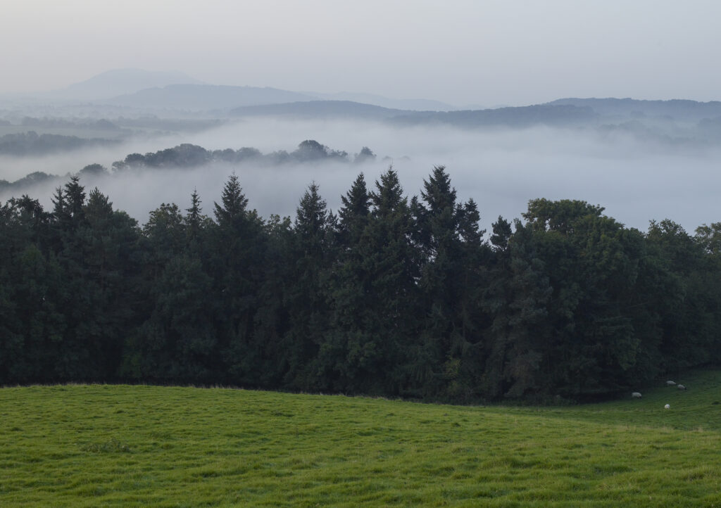 landscape with Teme valley in mist with trees in foreground