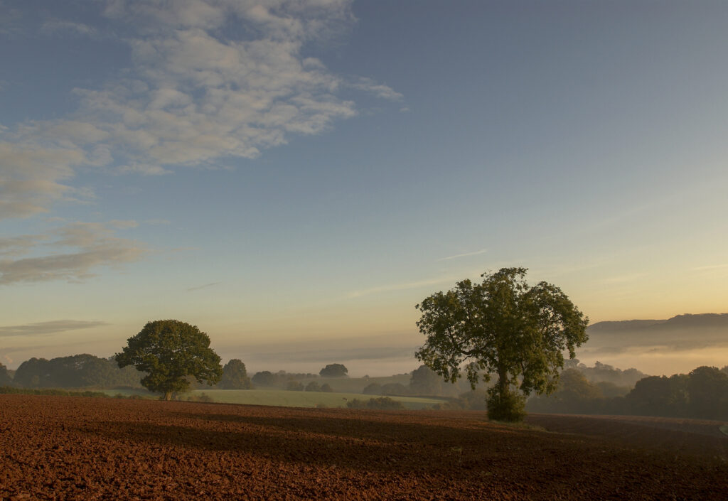 Big Blue sky with mist in Valley and trees on ploughed field