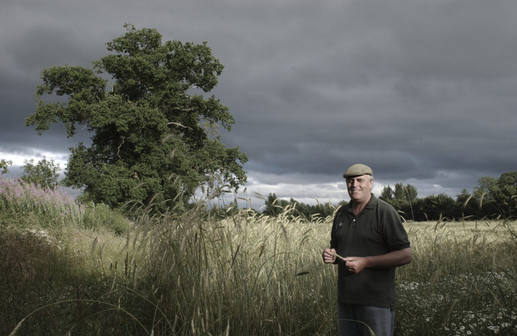 farmer in flat cap, in barley with moody sky and tree in background