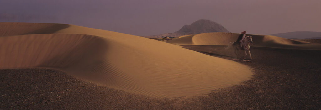 Galloping horse with rider in arab clothes with dunes in moody landscape