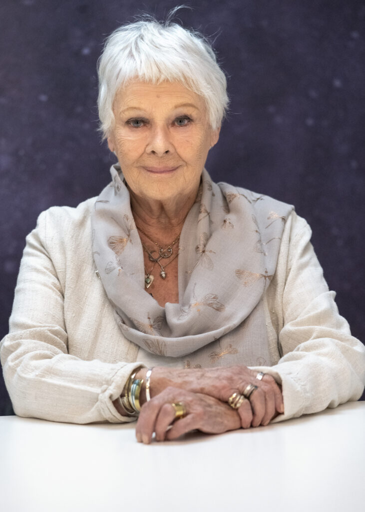 Dame Judi Dench. Celebrity portrait by Gullachsen.