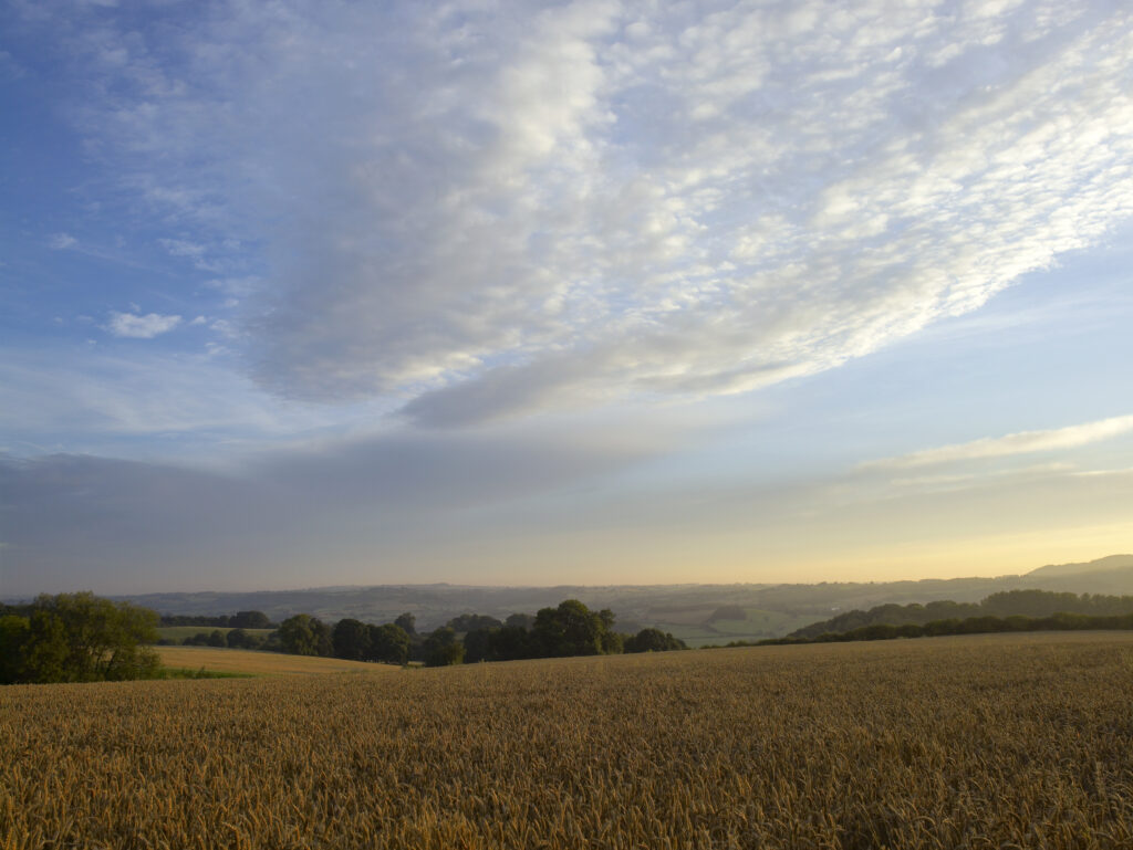 big sky with evening warm clouds over valley