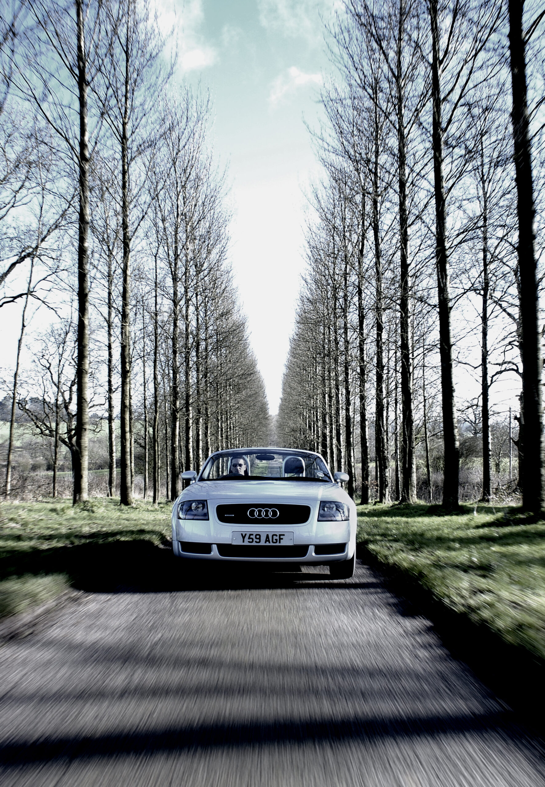 car speeding along an avenue of trees seen from a car in front.